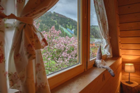 Regionalny Domek pod Skocznią, Zakopane